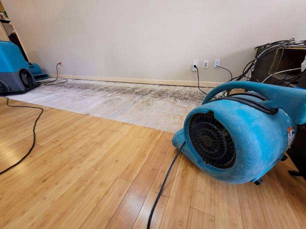Professional Sewage Cleanup technician working in Montvale, NJ